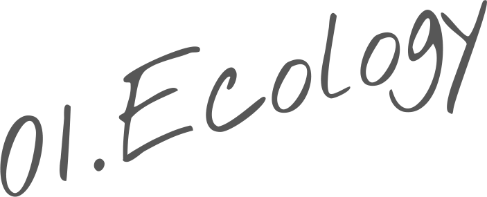 狭小住宅なら株式会社アース01.Ecology